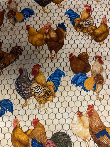 Galline galli filo - galline,, di